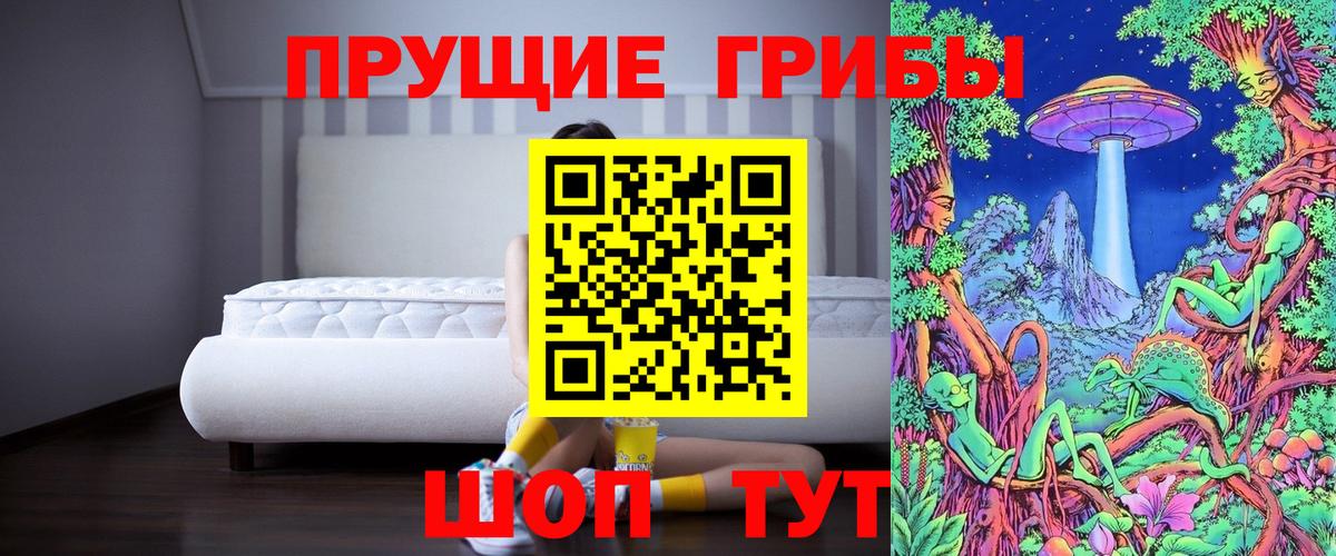 Псилоцибиновые грибы Cubensis Серов